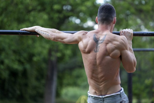 calisthenics-upper-body-back-1024x683.jpg