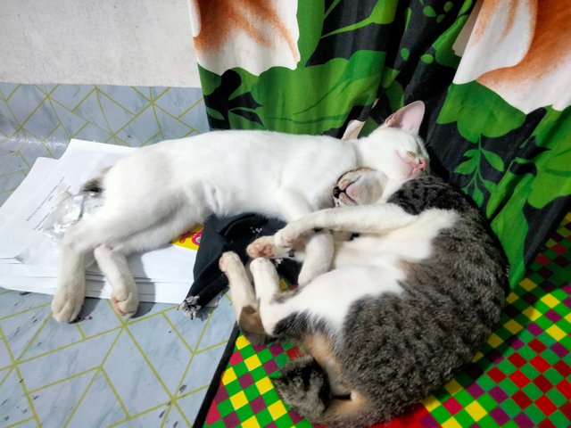 IMG20250717215732.jpg
