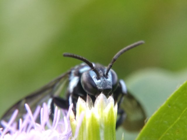 IMG_20210907_171425.jpg