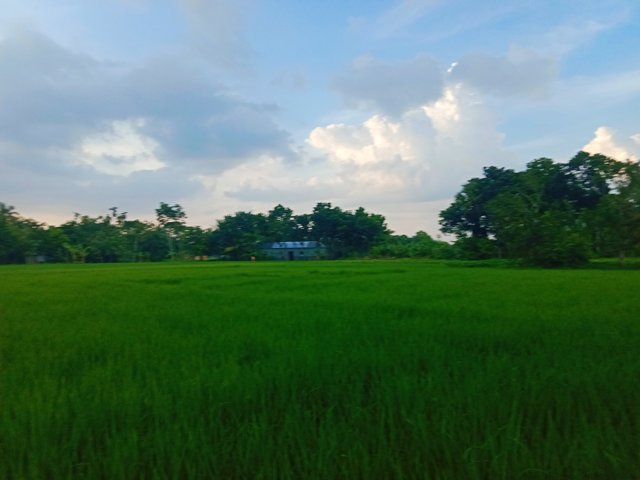 IMG_20250911_105707.jpg