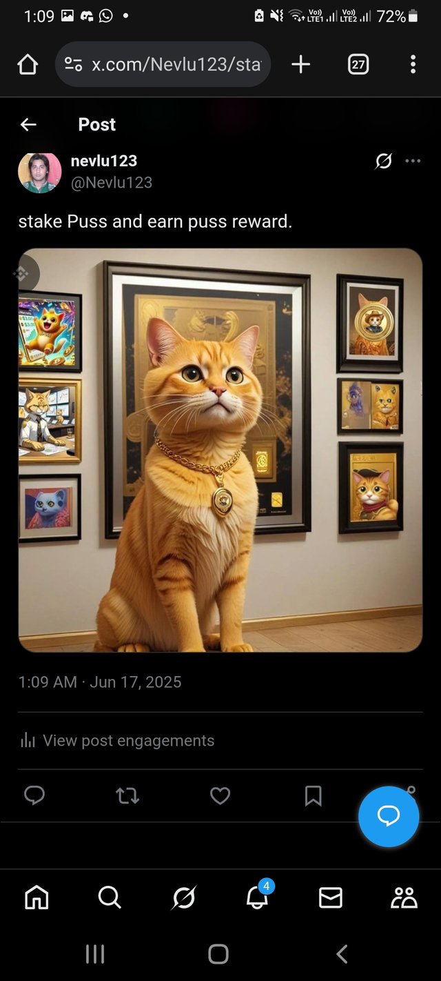 Screenshot_20250617-010925_Chrome.jpg