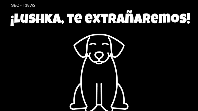 _¡Lushka, te extrañaremos!.png