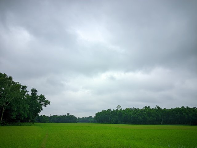 20250801_172951.jpg
