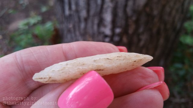 Arrowhead-4.jpg