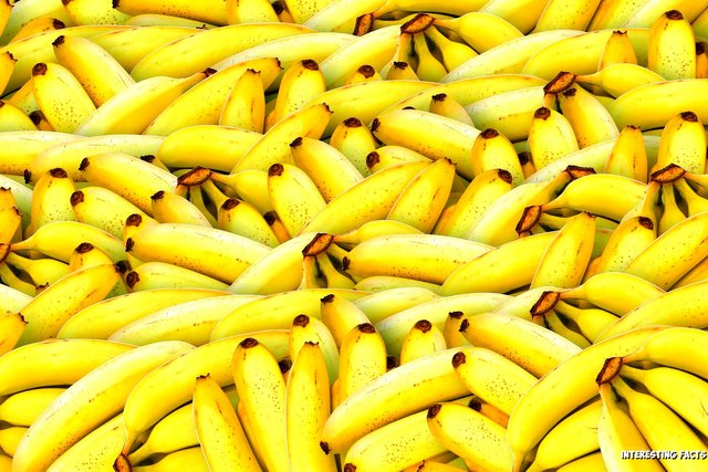 bananas-1119790_1920_result.jpg