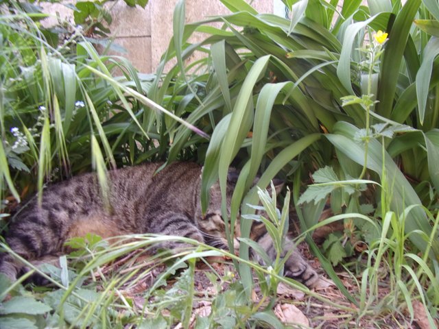 100_2664.JPG