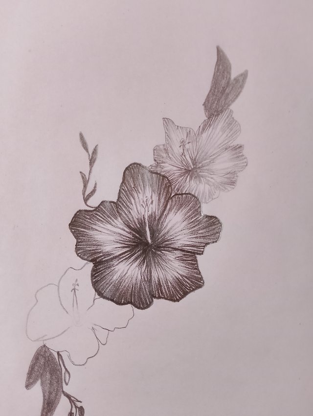 1000029665.jpg