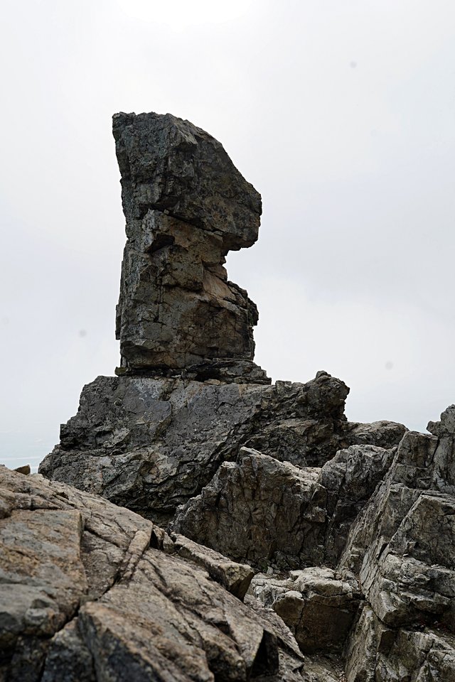 b-DSC07384.JPG