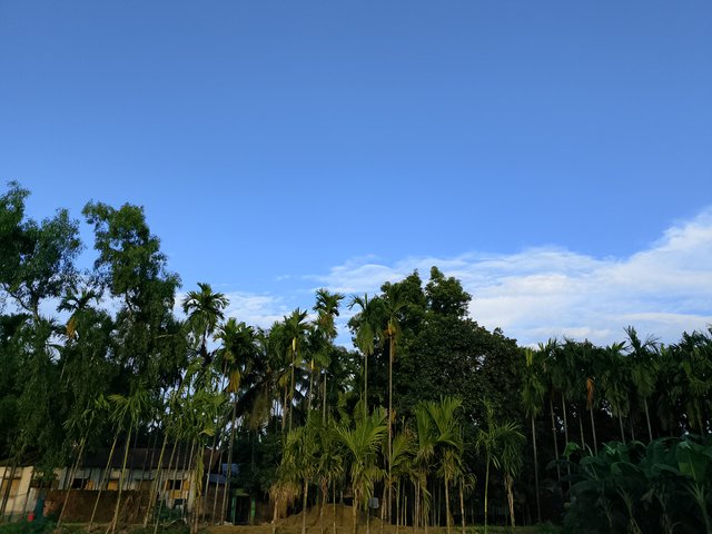 1000042760.jpg