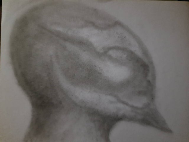 20241005_111508.jpg