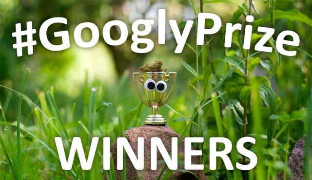 GooglyPrize GooglyEyes TitleImage Vol90