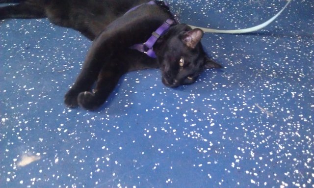 Garage (6) 5-29-14.jpg