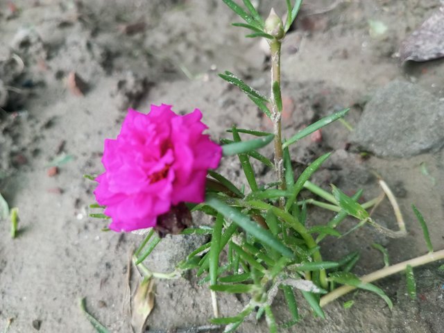 IMG_20250707_124345_195.jpg