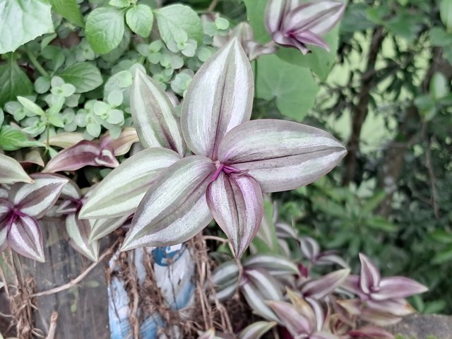20250620_154108.jpg