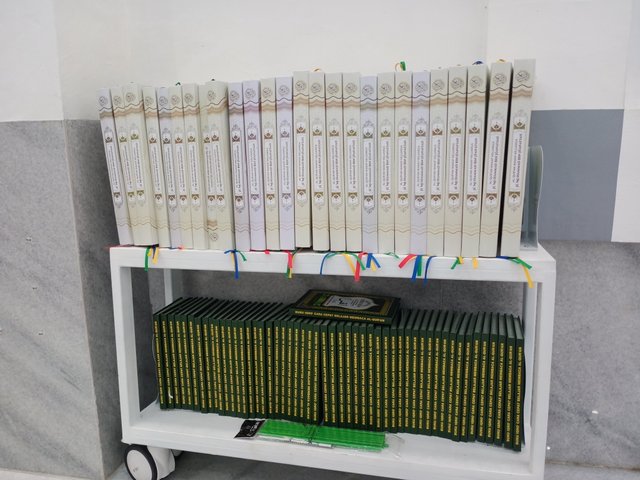 IMG20250421191231.jpg
