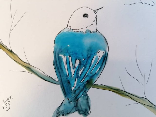 PAINTINGBLUEBIRD654TY (11).jpeg