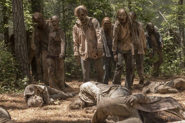 3568849-walking-dead-season-10-images-7-900x600.jpg