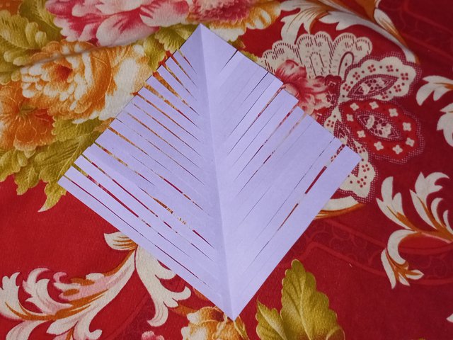 20250707_112216.jpg
