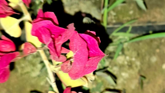 20250214_021234.jpg