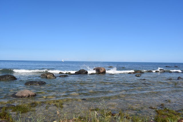 DSC_0216.JPG