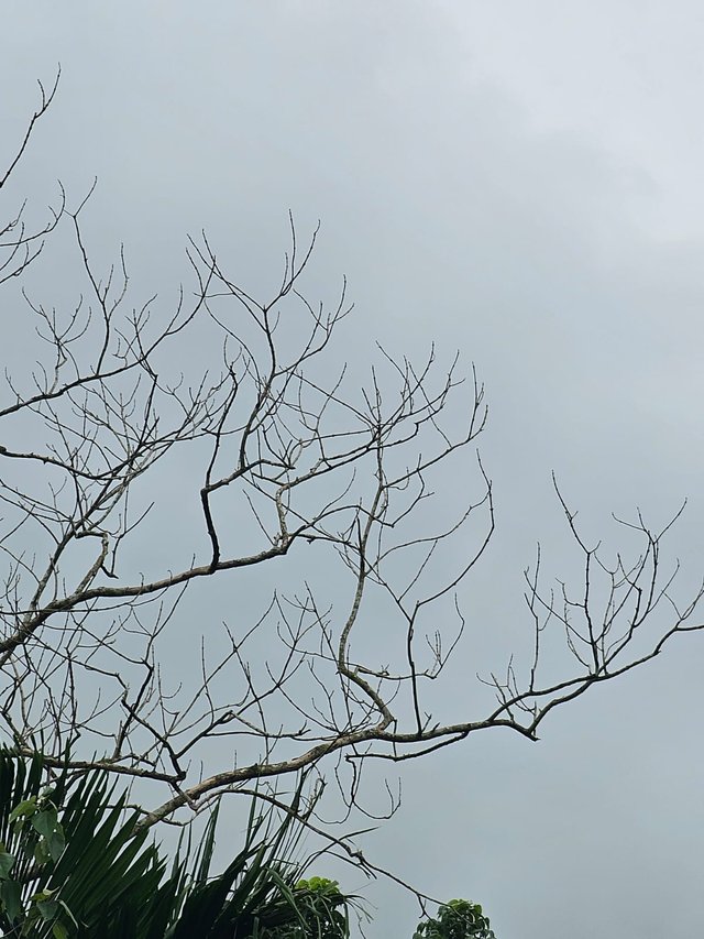 1000034582.jpg