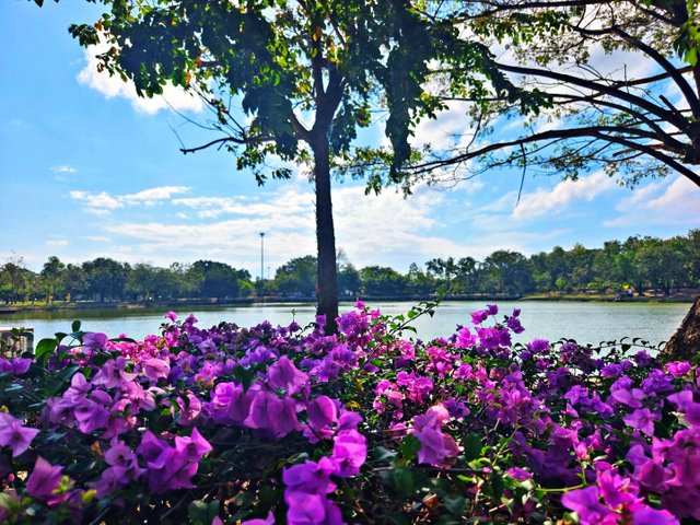 IMG_20250117_094627.jpg