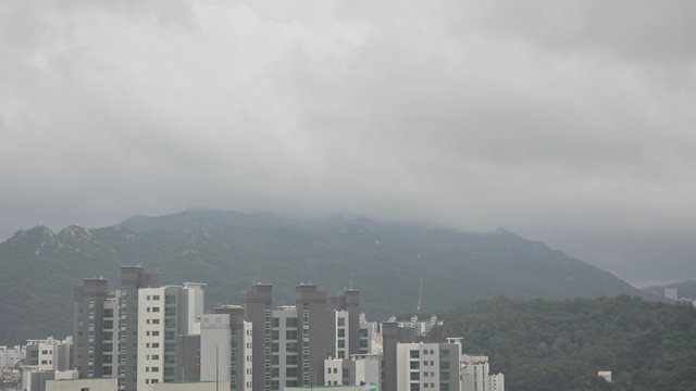 1000132698.jpg