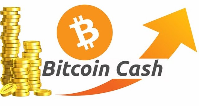 Bitcoin-Cash-2.jpg