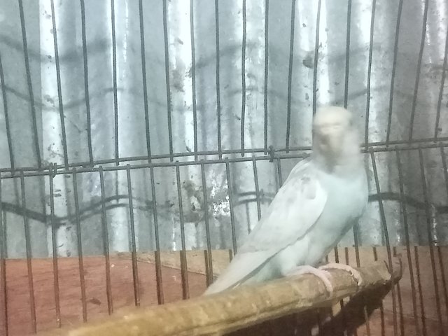 IMG20250422205350.jpg