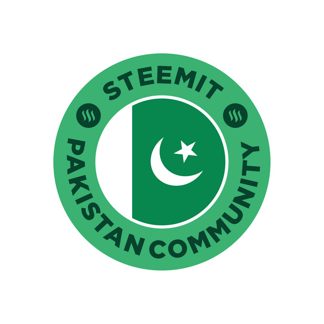 Steemit Pakistan Logo.png