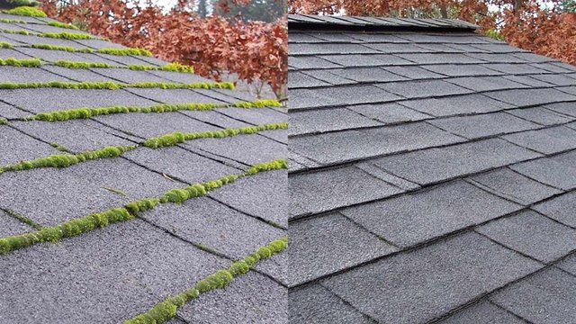 kelowna-roof-cleaning-moss-removal.jpg