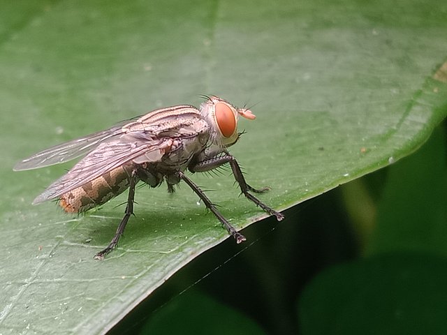 IMG20250925100250.jpg