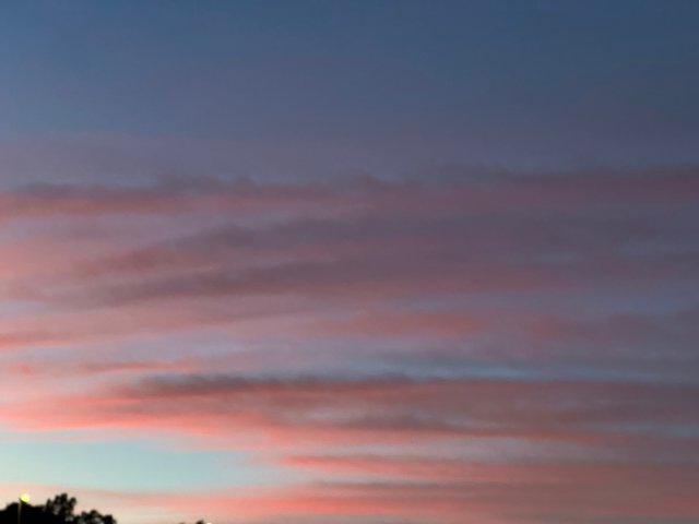 IMG_2534.jpeg