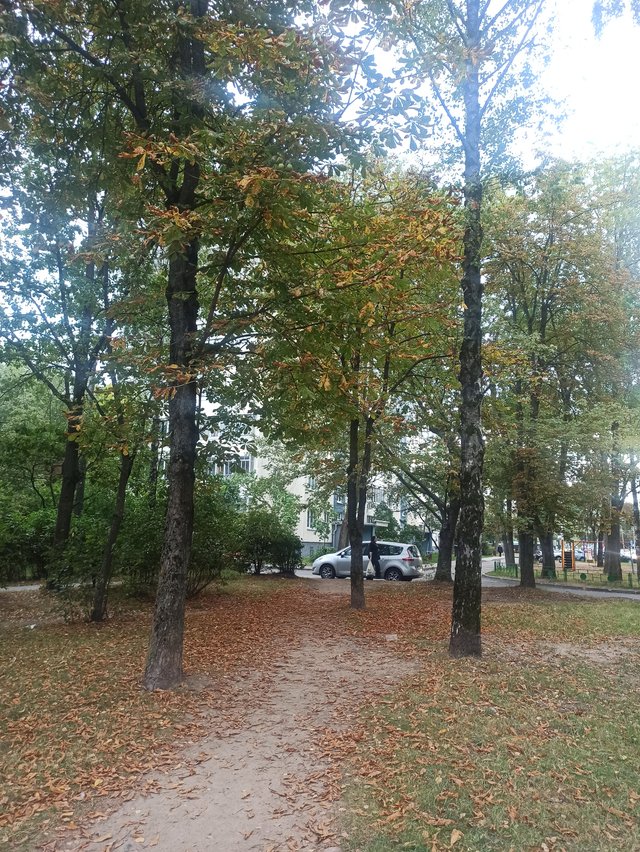 IMG_20250917_180051.jpg