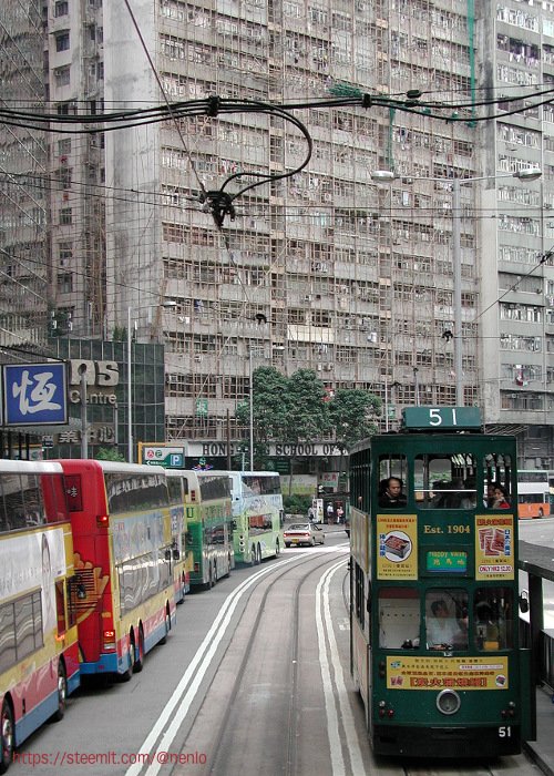 HK-trams.jpg