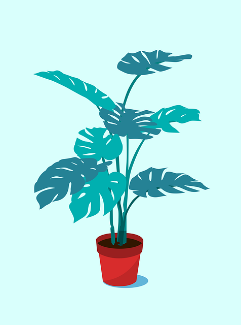 plant-7413415_640.png