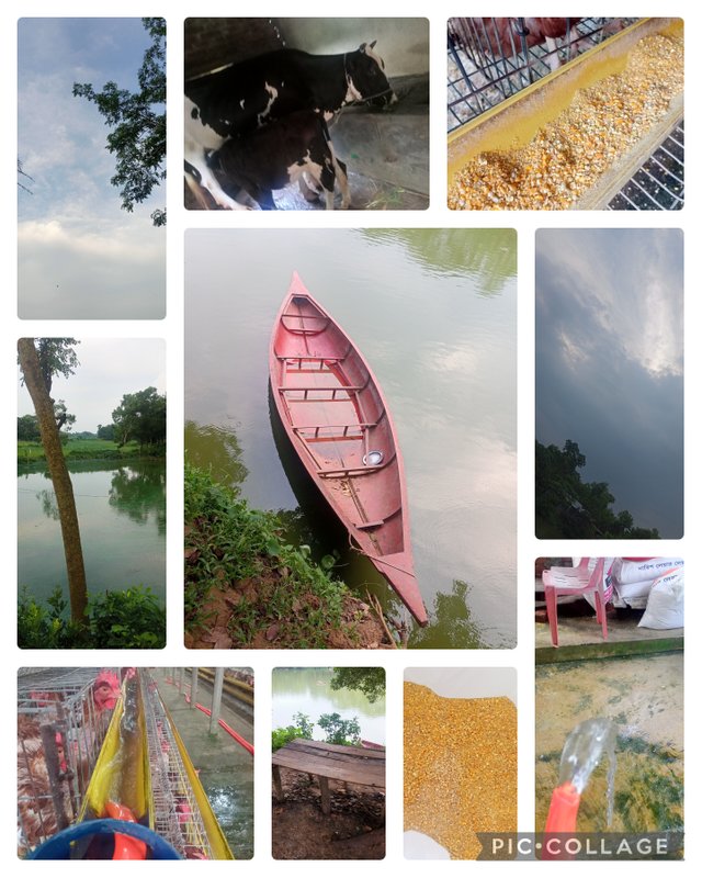Collage_2025-06-23_22_11_08.jpg