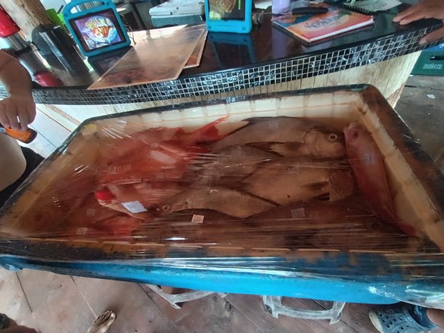 Imagen de WhatsApp 2025-06-06 a las 18.37.20_181cbcf8.jpg