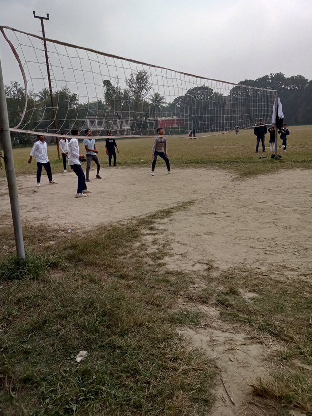 IMG20240115120118.jpg