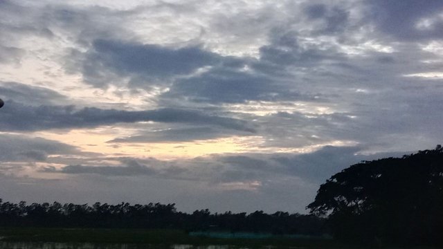 IMG_20250826_082732_848.jpg
