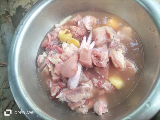 IMG20250528090655.jpg