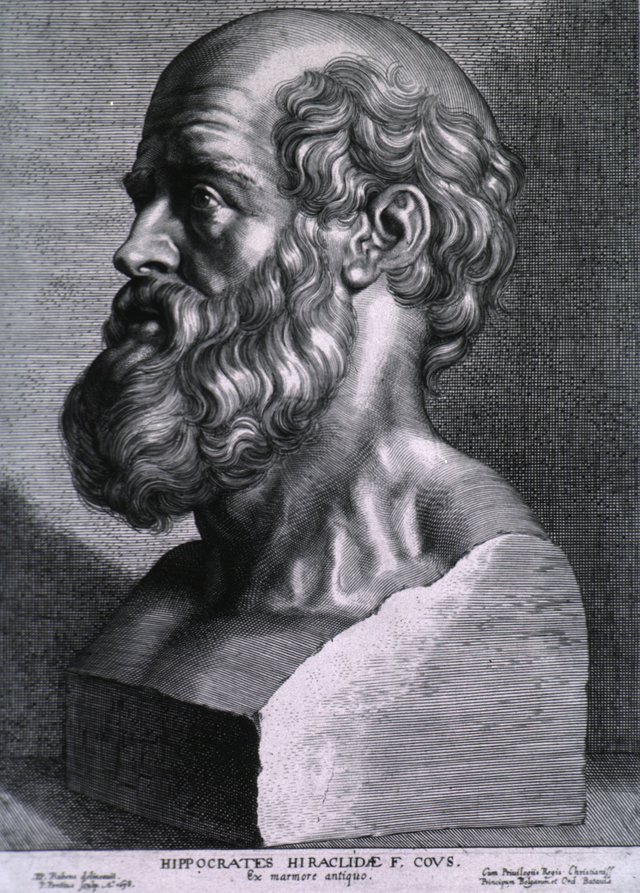 Hippocrates_rubens.jpg