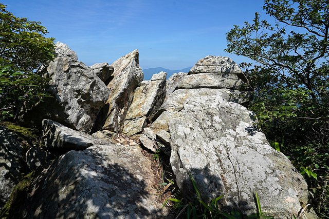 b-DSC08271.JPG