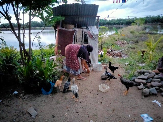 IMG20250722185726.jpg