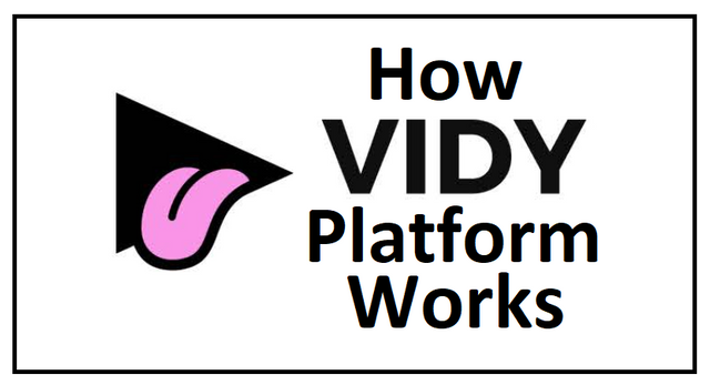 What is Vidy.png