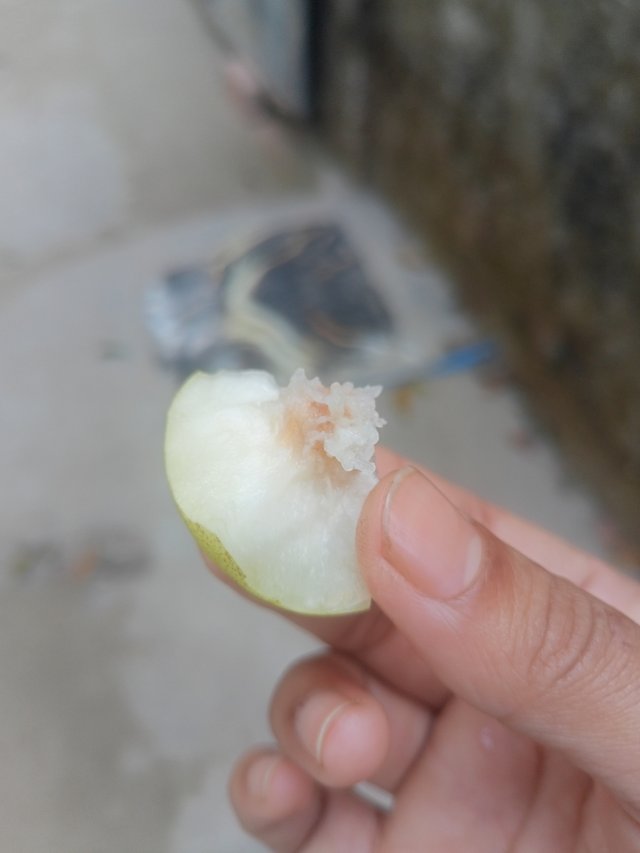 IMG20250217141818.jpg