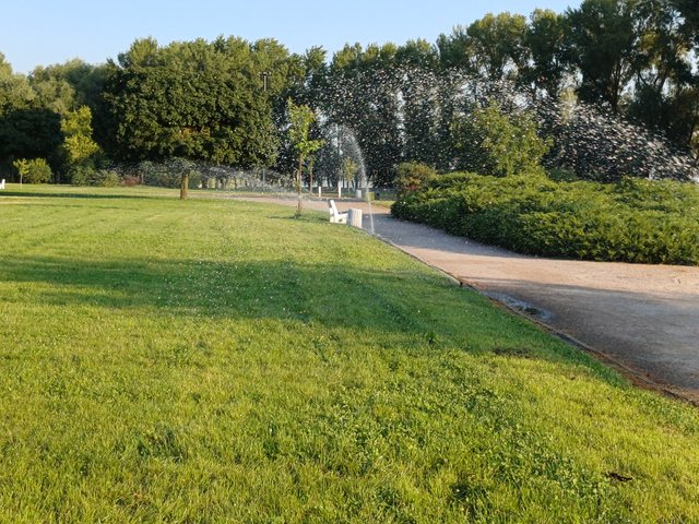 20250806_071200.jpg