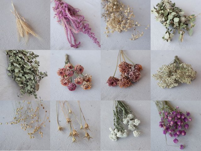Custom-dried-flowers-options-3.jpg