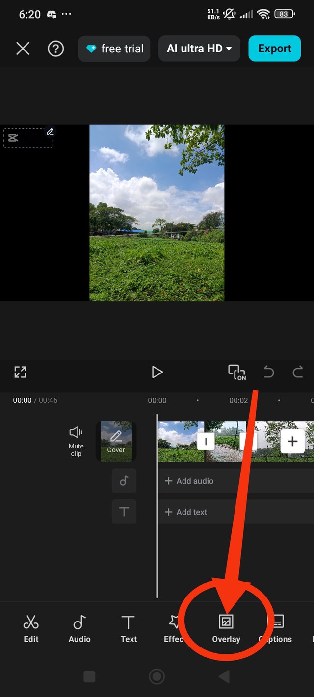 1000000507.jpg