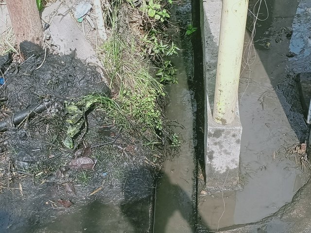 IMG20250308094502.jpg
